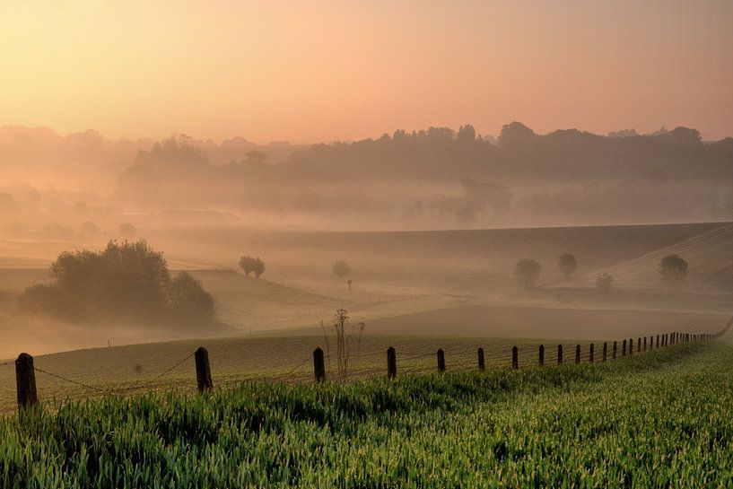 Ardennes flamandes par Edzo Boven