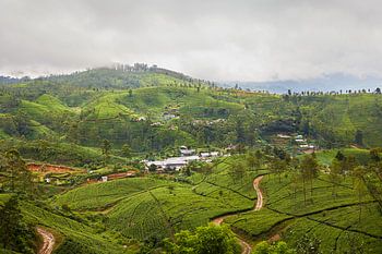 Nuwara eliya, Sri Lanka