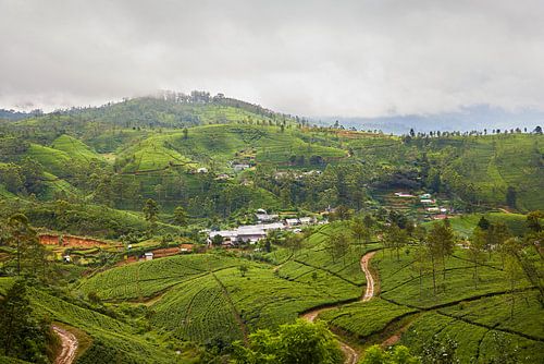 Nuwara eliya, Sri lanka