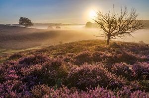 Lever de soleil à la Posbank