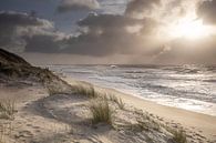 Belle lumière du soleil sur la côte de la mer du Nord, Hollande par Olha Rohulya Aperçu