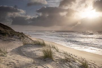 Belle lumière du soleil sur la côte de la mer du Nord, Hollande sur Olha Rohulya
