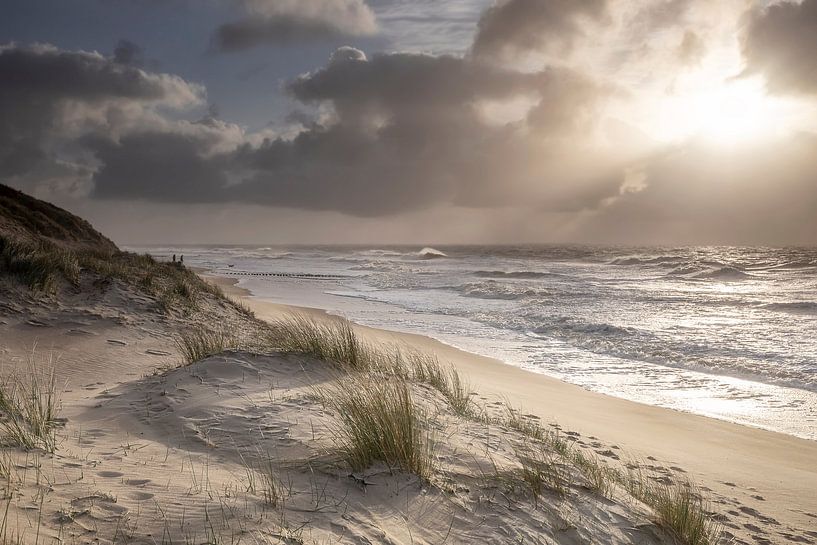 Belle lumière du soleil sur la côte de la mer du Nord, Hollande par Olha Rohulya