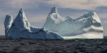 IJsberg voor de kust van Twillingate Newfoundland van Menno Schaefer