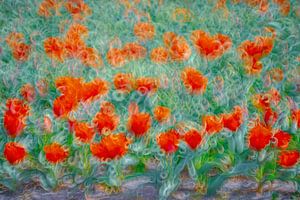 Tulipes rouges, abstrait