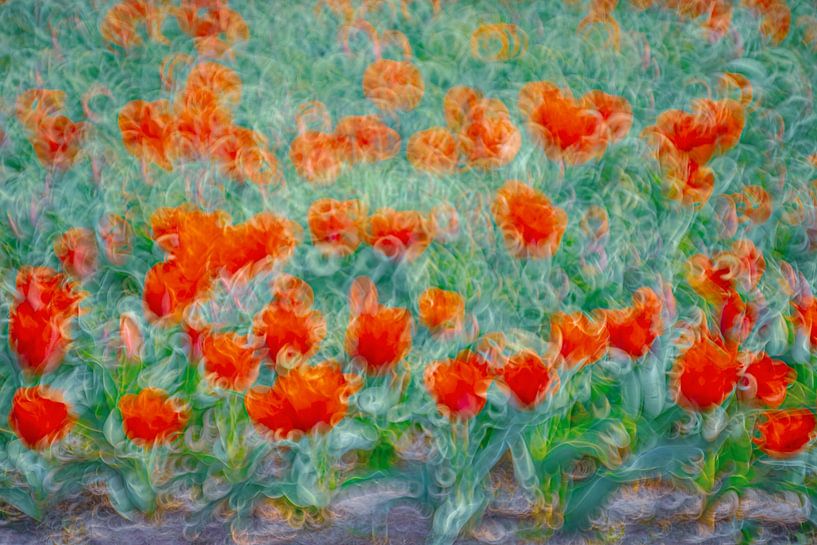 Red tulips, abstract by Yanuschka | Fotografie Noordwijk