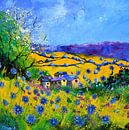 Spring - 7723 by pol ledent thumbnail