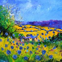 Spring - 7723