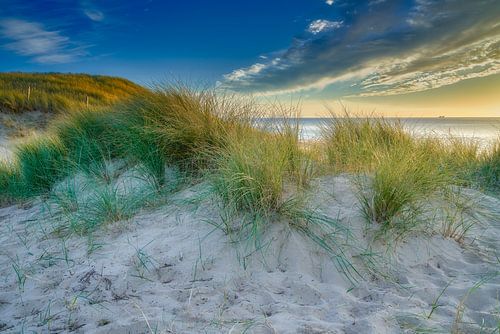 seascape with the dune landscape