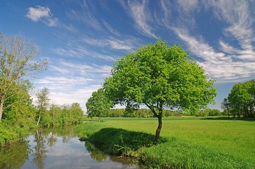 Spring day in the Wendland