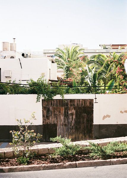 Jardin botanique à Ibiza l'Espagne par Raisa Zwart Tirages photographiques de voyage