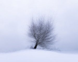 Alleen op de heuvel op een koude winterdag van Nando Harmsen