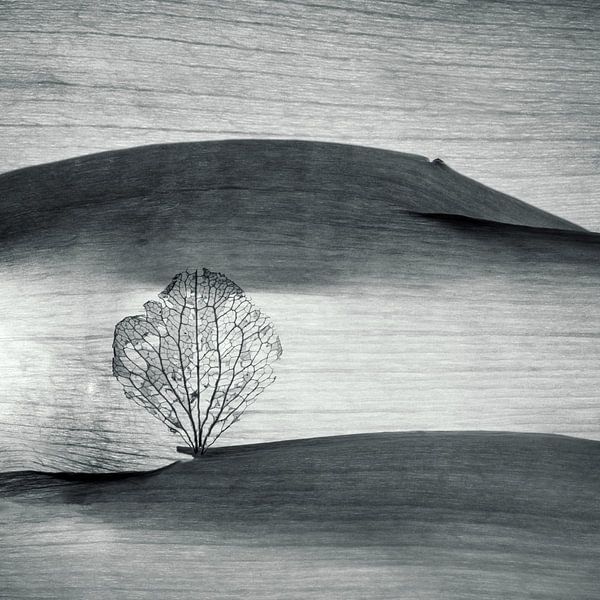 Einsam? by Anke Brehm