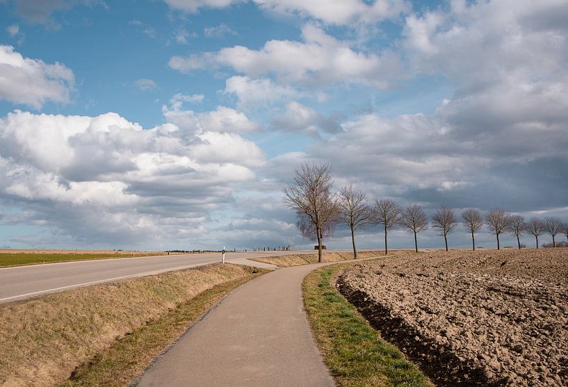 Road through barren landscape by Ulrike Leone