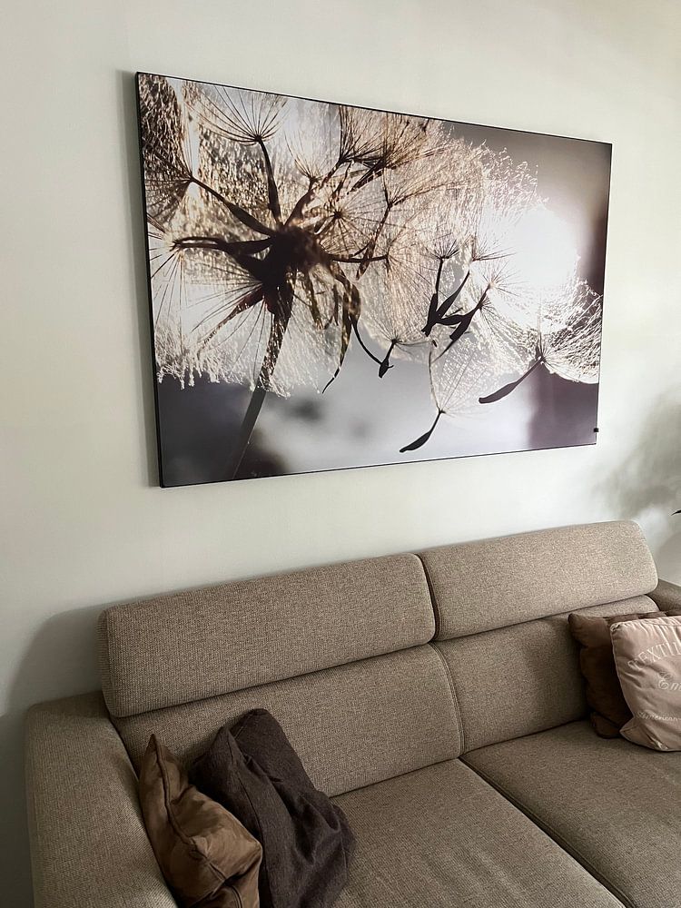 Pusteblume Schirmchenflug von Julia Delgado