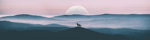 Huilende Wolf van Alexander Dorn