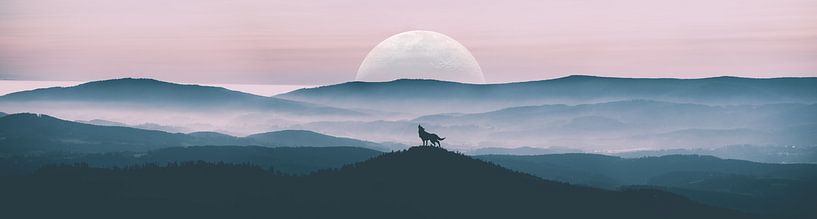 Loup hurlant par Alexander Dorn