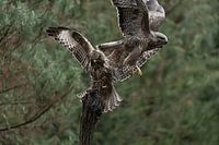 Deux buses en mouvement