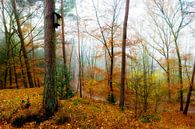 Herbstwald von Günter Albers Miniaturansicht