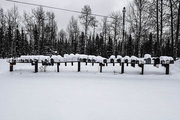 Mailboxes von Sara Vasseghi