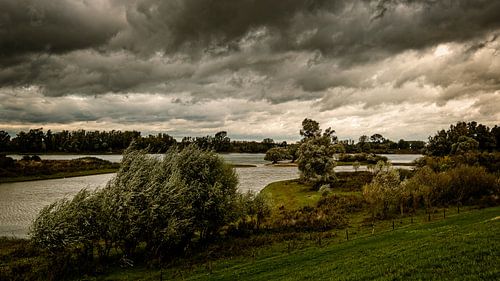 View of the river Waal