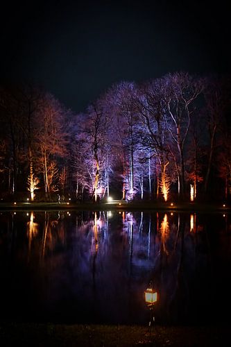 Kasteel de Haar tijdens de Lumineuze nachten