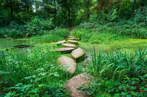 Tremplins sentier Ommerschans près de Balkbrug