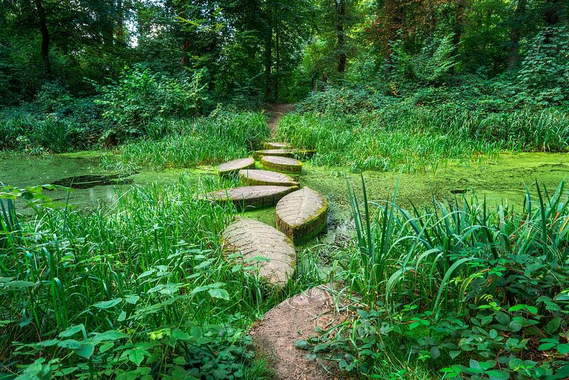 Trittsteine Wanderweg Ommerschans bei Balkbrug von R Smallenbroek