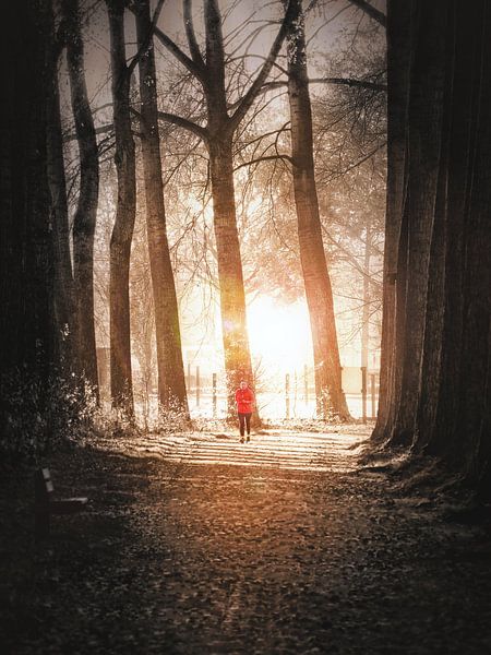 L'automne à Gavers 3 par Maickel Dedeken