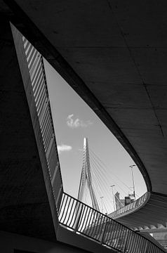 De Erasmusbrug van Huib Smit