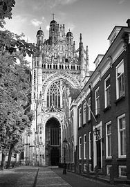 Parade Den Bosch, met zicht op de Sint Jan van Den Bosch aan de Muur