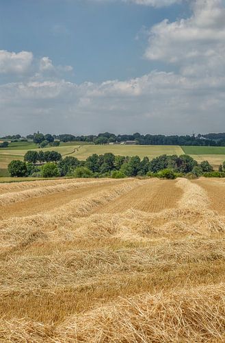 Velden met stro in Zuid-Limburg