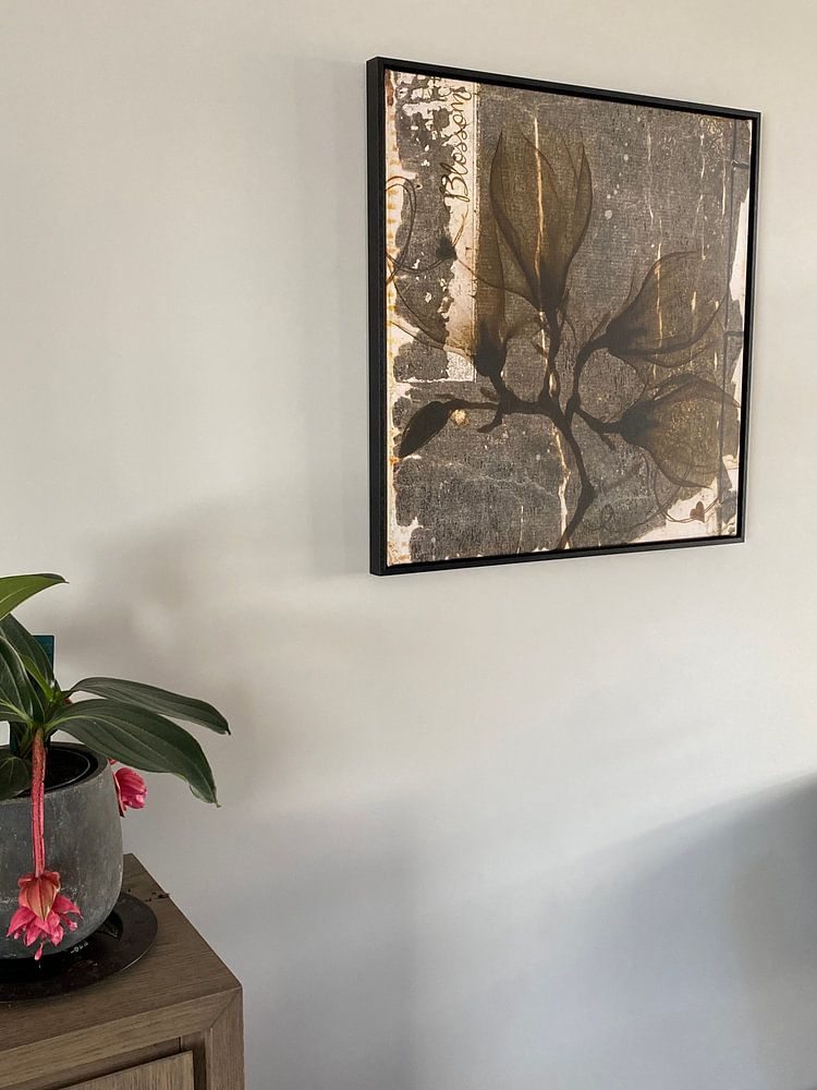 Blüte - Magnolie  von Studio Papilio 