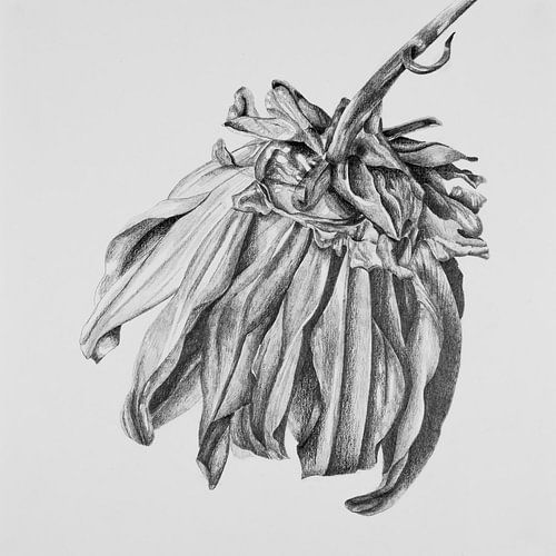 De schoonheid van verval 3