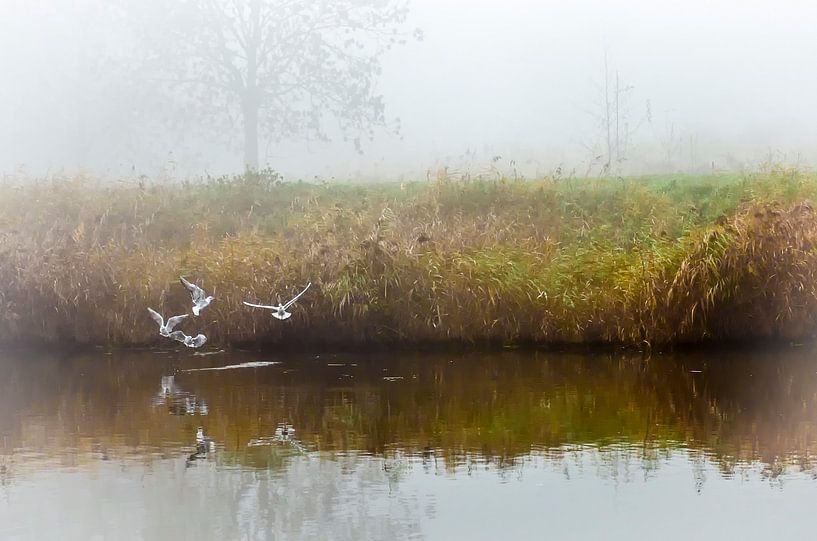 Mysterieuze ochtend van Hans van Gurp