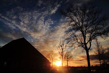 West-Frisian Farm van Koolpics