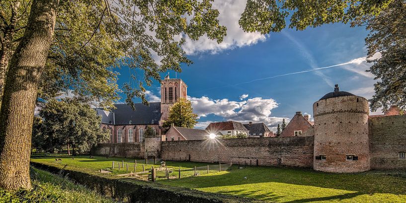 Blick auf die Stadtmauer und die Kirche der Elburg in Gelderland von Harrie Muis