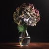 Beaux-arts Nature morte Hortensia sur Sandra Hazes
