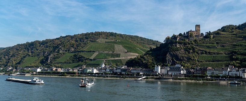 Burg Gutenfels van Richard Wareham