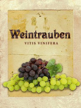 Keukenfoto druiven van Dirk H. Wendt