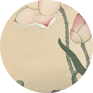 Gallinule met lotusbloemen van Ohara Koson