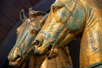 De beroemde St. Mark paarden in de kathedraal van Venetië, Italië van Jan Fritz