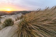 Hollandse duinen van Dirk van Egmond thumbnail