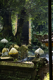 Escalier dans la jungle recouverte de mousse, temple de Pura Mengening, Bali sur Fotos by Jan Wehnert