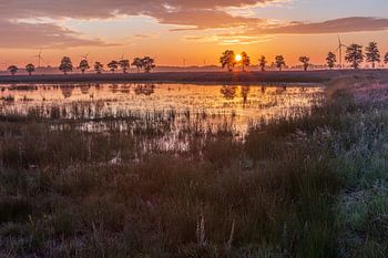 Drenthe zonsopgang bij plas