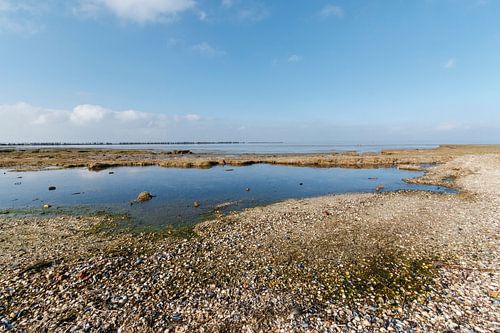 The mudflats near Paesens