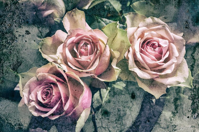 rozen in pastel van Eugene Winthagen