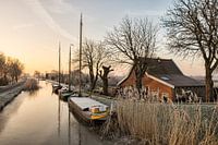 Een Mooie Winterochtend in Maasland