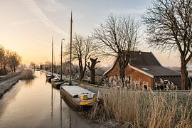  A Beautiful Winter Morning in Maasland by Charlene van Koesveld