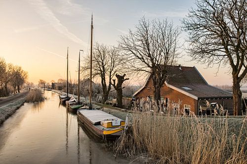 Un beau matin d'hiver dans le Maasland